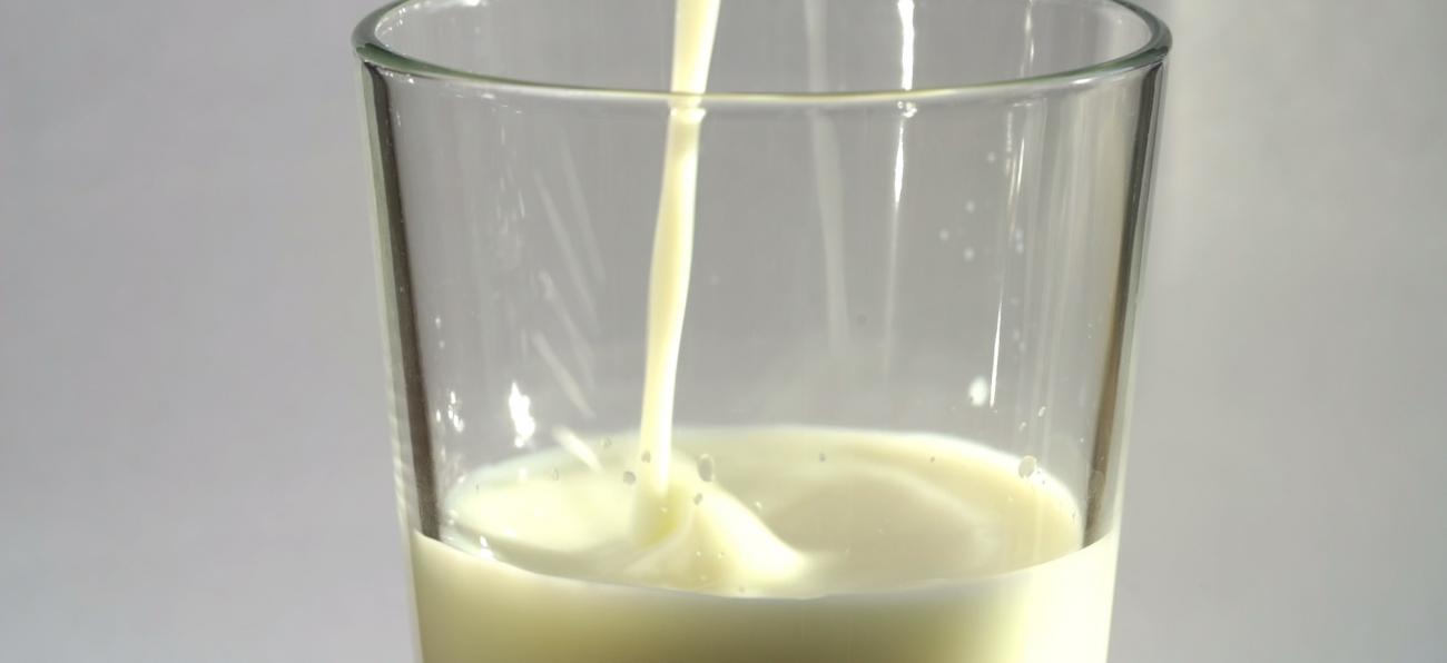 Mælk i glas